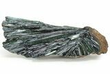 Gemmy, Emerald-Green Vivianite Crystal Cluster - Brazil #218265-4